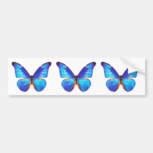 “Morpho”の優良製品 Bumpersticker (Voorkant)
