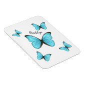 Morpho butterflies cartoon illustratie magneet (Rechterzijde)