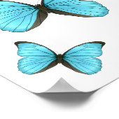 Morpho butterflies cartoon illustratie poster (Hoek)