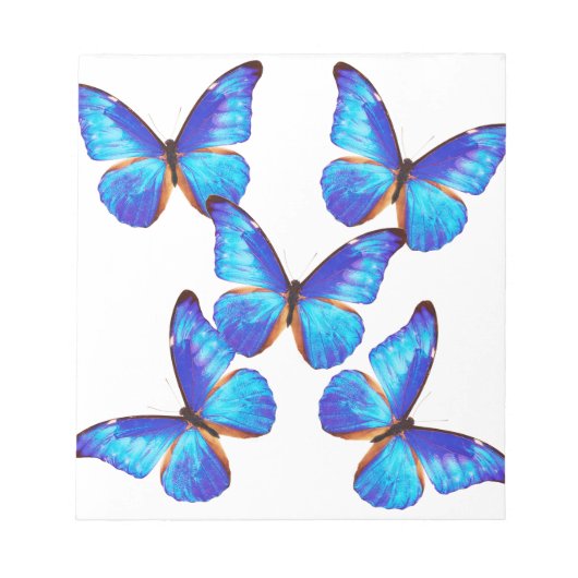 "Morpho Butterfly"の 優 製 品 Notitieblok (Voorkant)
