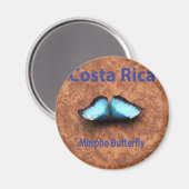 Morpho butterfly Costa Rica Magneet (Voorkant / Achterkant)