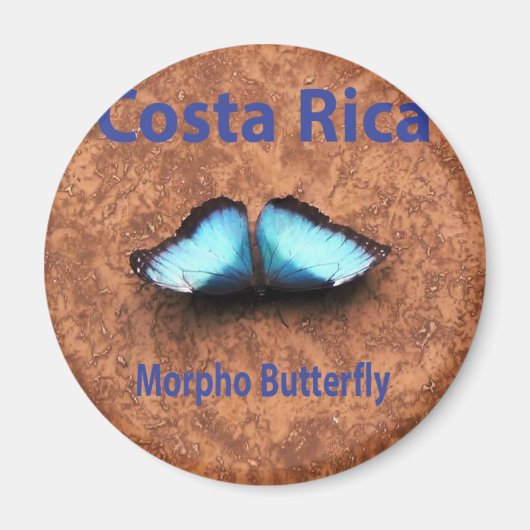 Morpho butterfly Costa Rica Magneet (Voorkant)
