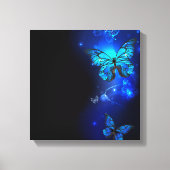 Morpho Butterfly in de donkere achtergrond Canvas Afdruk (Voorkant)