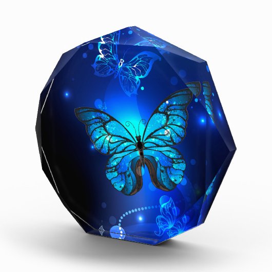 Morpho Butterfly in de donkere achtergrond Fotoblokken (Rechts)