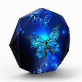 Morpho Butterfly in de donkere achtergrond Fotoblokken (Links)