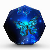 Morpho Butterfly in de donkere achtergrond Fotoblokken (Voorkant)