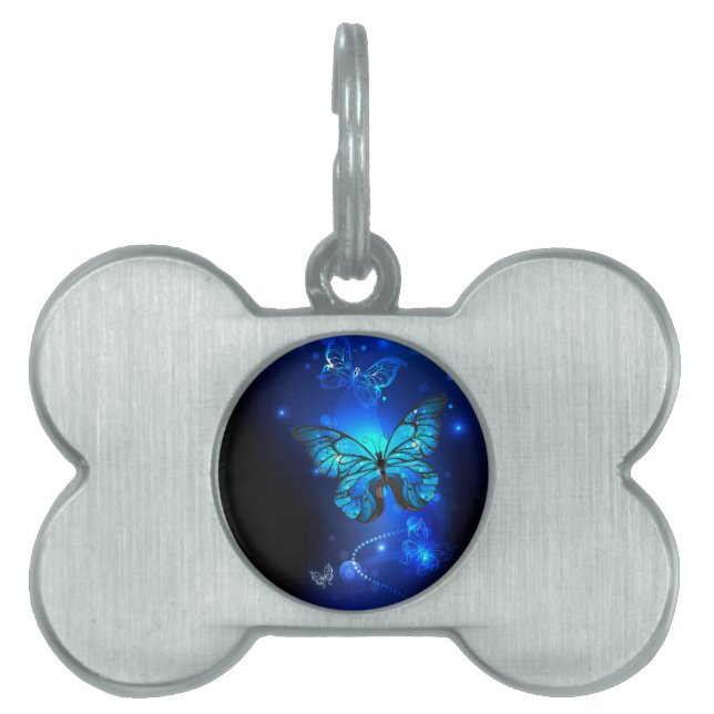 Morpho Butterfly in de donkere achtergrond Huisdieren Naamplaatje (voorkant)