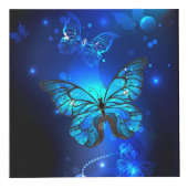 Morpho Butterfly in de donkere achtergrond Kubus (Voorkant)