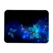 Morpho Butterfly in de donkere achtergrond Magneet (Horizontaal)