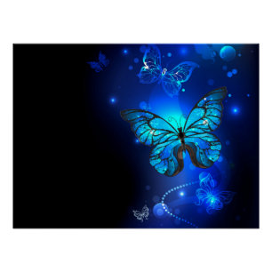 Morpho Butterfly in de donkere achtergrond Perfect Poster
