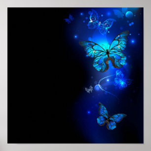 Morpho Butterfly in de donkere achtergrond Poster