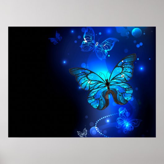 Morpho Butterfly in de donkere achtergrond Poster (Voorkant)