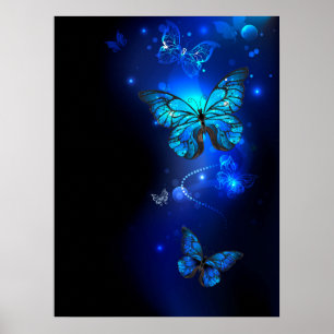 Morpho Butterfly in de donkere achtergrond Poster