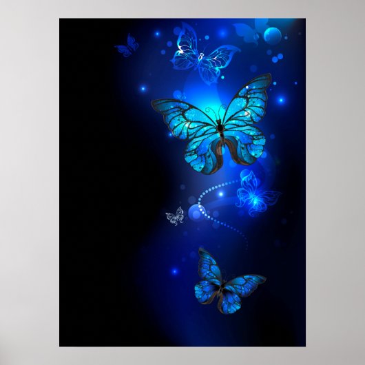Morpho Butterfly in de donkere achtergrond Poster (Voorkant)