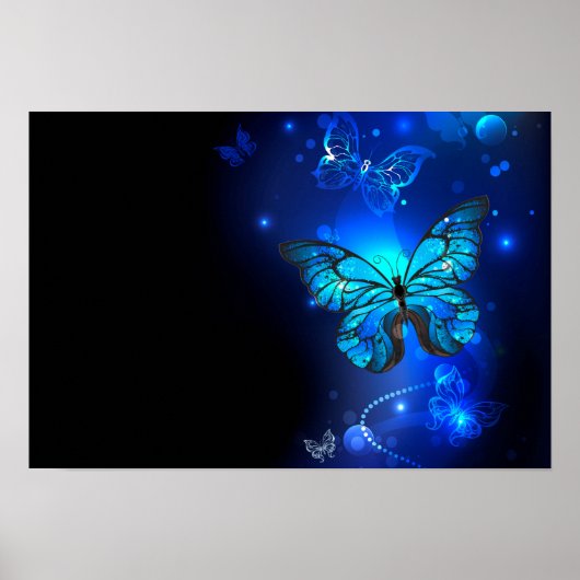 Morpho Butterfly in de donkere achtergrond Poster (Voorkant)