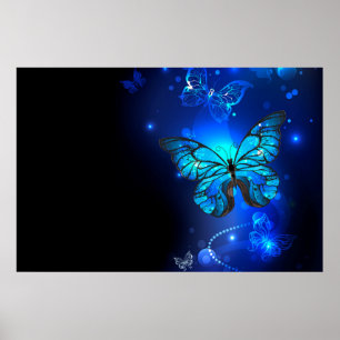 Morpho Butterfly in de donkere achtergrond Poster