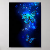 Morpho Butterfly in de donkere achtergrond Poster (Voorkant)
