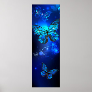 Morpho Butterfly in de donkere achtergrond Poster