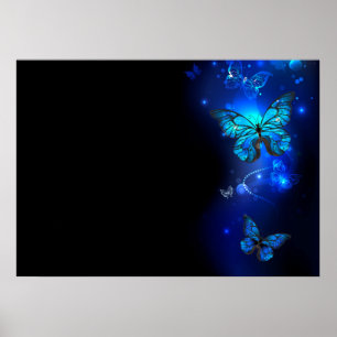 Morpho Butterfly in de donkere achtergrond Poster