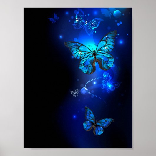 Morpho Butterfly in de donkere achtergrond Poster (Voorkant)
