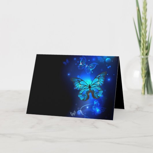 Morpho Butterfly in de donkere achtergrond Programma (Voorkant)