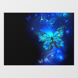 Morpho Butterfly in de donkere achtergrond Raamsticker