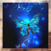 Morpho Butterfly in de donkere achtergrond Raamsticker (Vel 2)