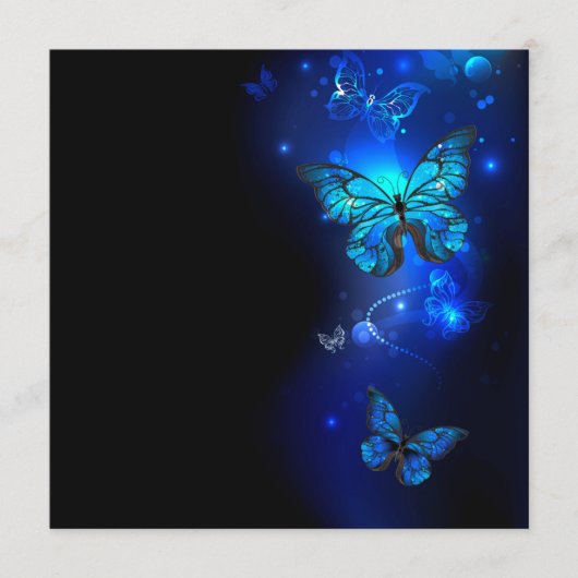 Morpho Butterfly in the Dark Background Programmakaart (Voorkant)