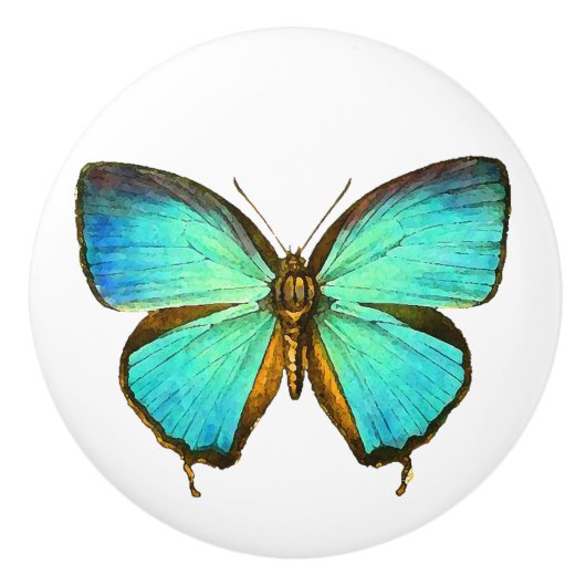 Morpho Butterfly Insect Wildlife Animal Knob Keramische Knop (Voorkant)
