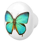 Morpho Butterfly Insect Wildlife Animal Knob Keramische Knop (Rechts)
