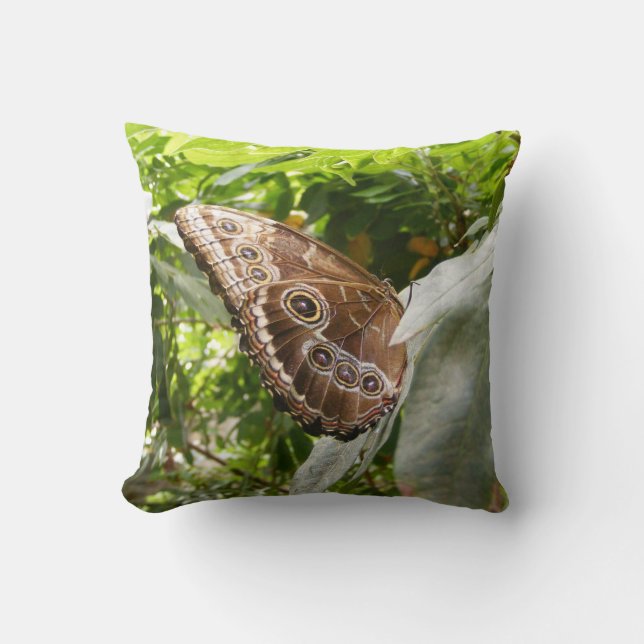 Morpho Butterfly Kussen (Voorkant)