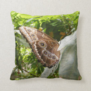 Morpho Butterfly Kussen