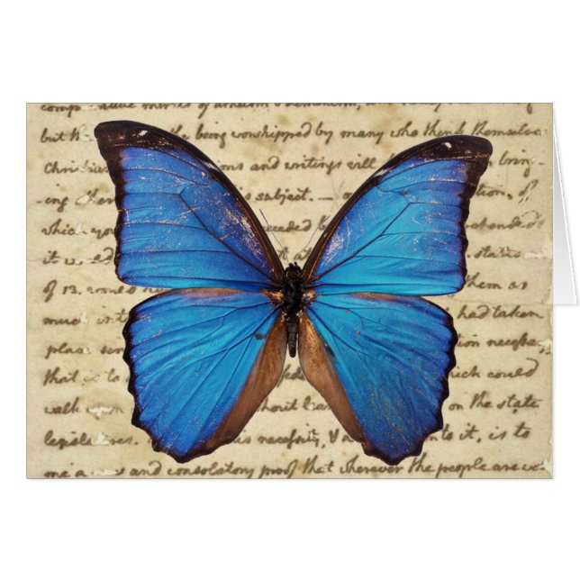 Morpho Butterfly op  blanco kaart voor handschrift (Voorkant Horizontaal)