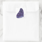 Morpho Constellation Sticker (Tas)
