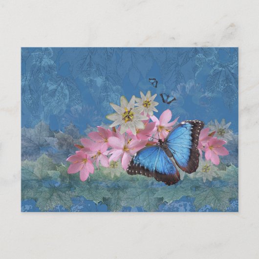 Morpho Magische Briefkaart (Voorkant)