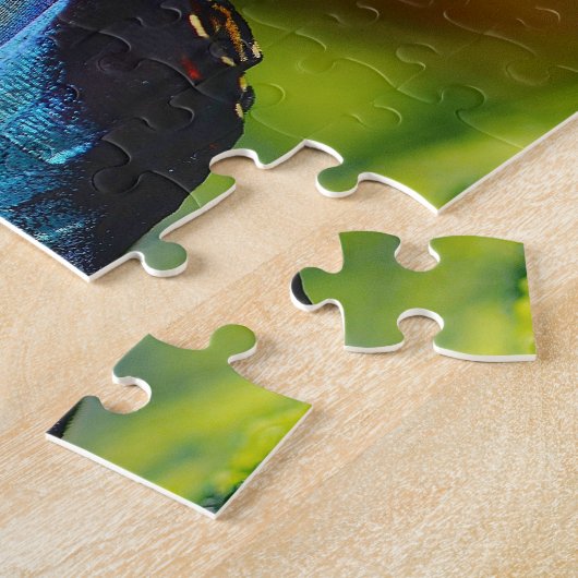 Morpho Peleides Butterfly. Legpuzzel (Zijkant)