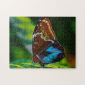 Morpho Peleides Butterfly. Legpuzzel (Horizontaal)