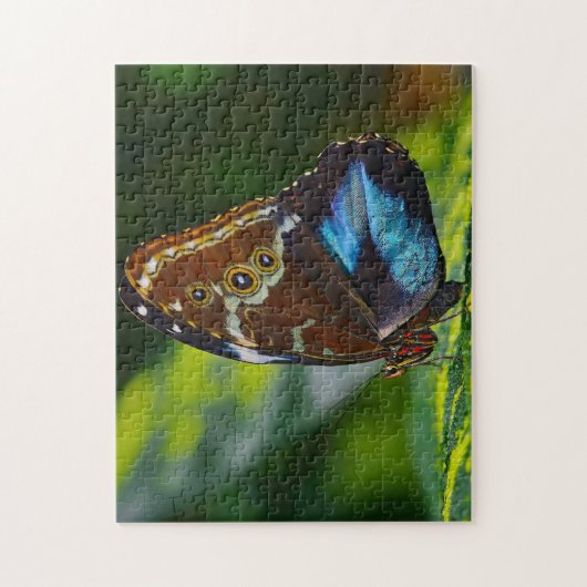 Morpho Peleides Butterfly. Legpuzzel (Verticaal)