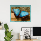 Morpho Peleides - Common Morpho ... Poster (Thuiskantoor)