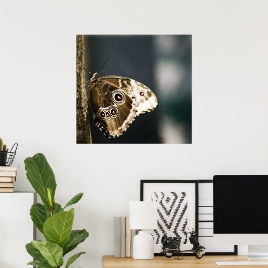 Morpho peleides Print (Thuiskantoor)