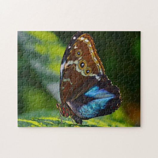 Morpho Peleides Vlinder. Legpuzzel (Horizontaal)