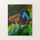 Morpho Peleides Vlinder. Legpuzzel (Verticaal)