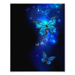 Morpho Vlinder in de Donkere Achtergrond Foto Afdruk