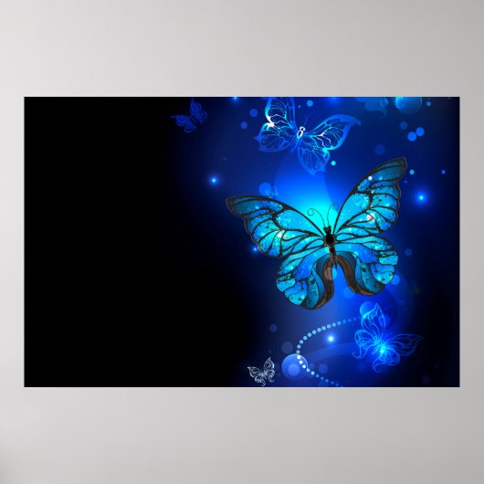 Morpho Vlinder in de Donkere Achtergrond Poster (Voorkant)