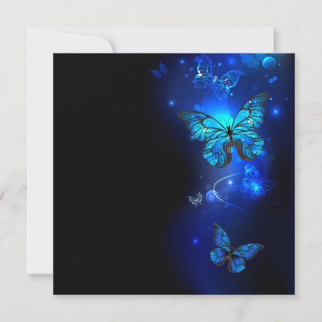 Morpho Vlinder in Donkere Achtergrond (Voorkant)
