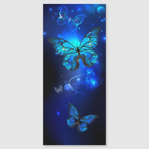 Morpho Vlinder op Donkere Achtergrond