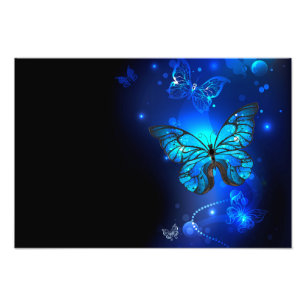 Morpho Vlinder op Donkere Achtergrond Foto Afdruk