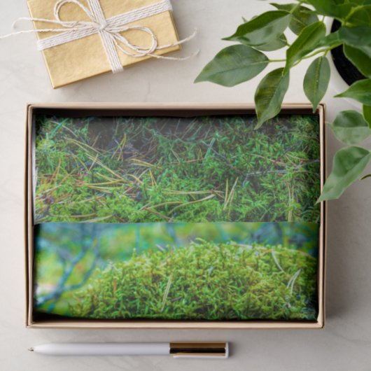 Morrel paddenstoel groene natuur gras tissuepapier (Geschenk)