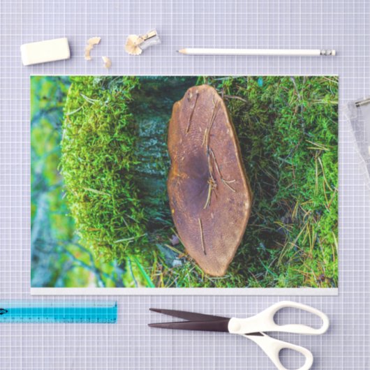 Morrel paddenstoel groene natuur gras tissuepapier (Craft)