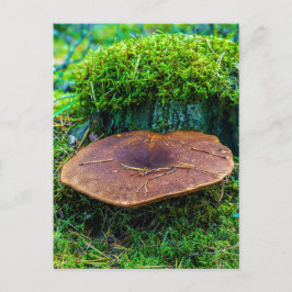 Morrel paddestoel groen natuur gras cottagecore briefkaart